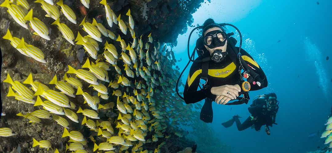 Tiefseetaucher schwimmt in einen Fisschwarm mit gelben Fischen